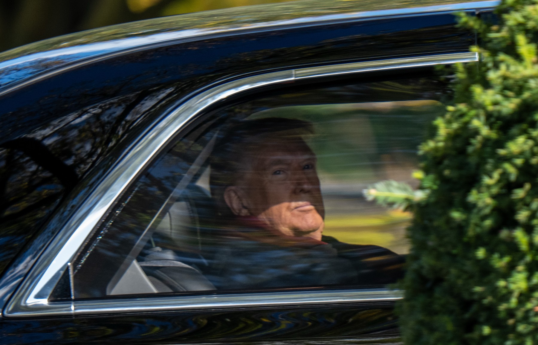 Foto reprezentând deși susține bucură - Știri România