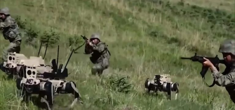 invazia lupilor china - Imagine ilustrativă