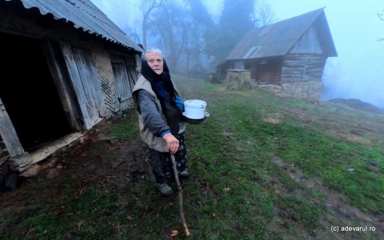 Imagine despre drumul regelui construit - Top10stiri.ro