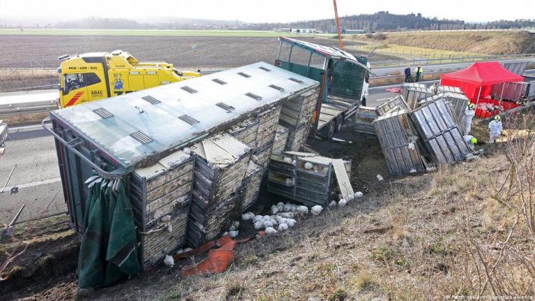 Imagine despre accident neobișnuit germania - Top10stiri.ro