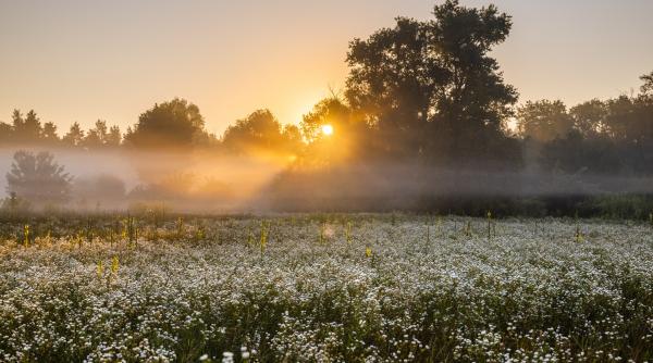 ANM anunță temperaturi de 18 grade Celsius și cer senin în următoarea săptămână în toată țara. Prognoza meteo până în 15 martie