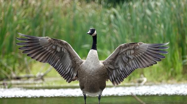 Imagine despre povestea petrolului brent - Top10stiri.ro