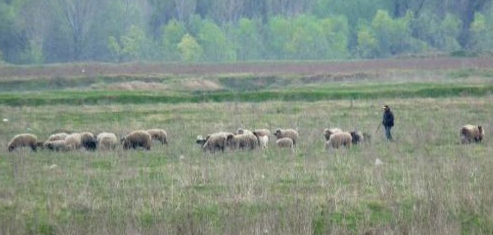 Foto reprezentând românia expusă focarelor - Știri România