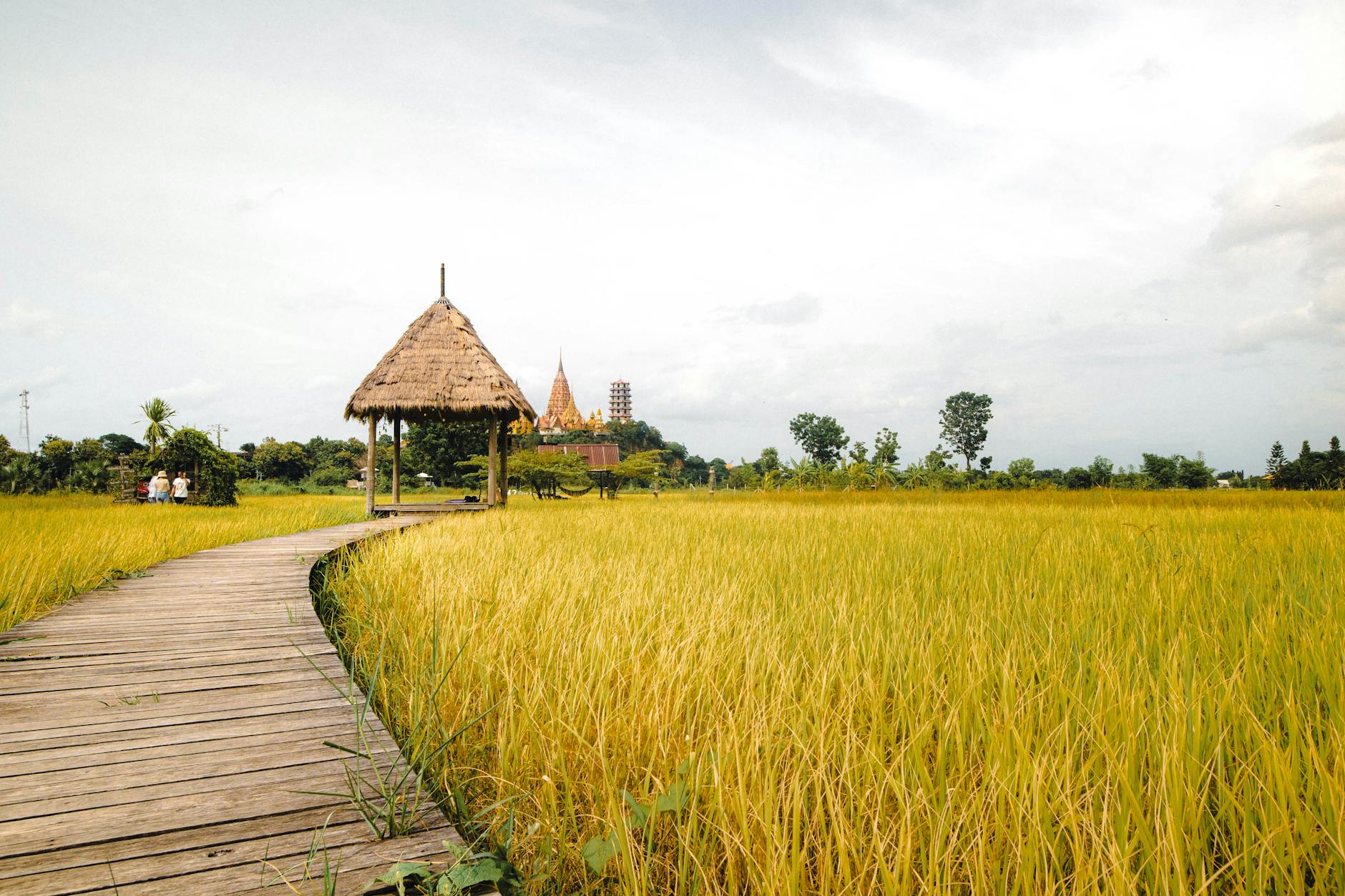 Știri despre atacuri SUA Iran - Top10Stiri