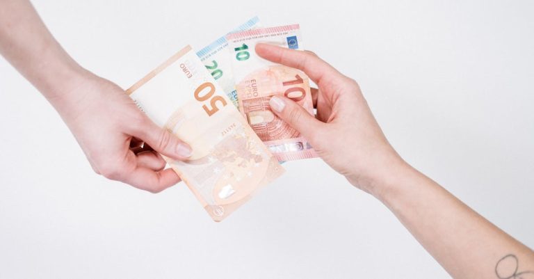 euro record curs valutar