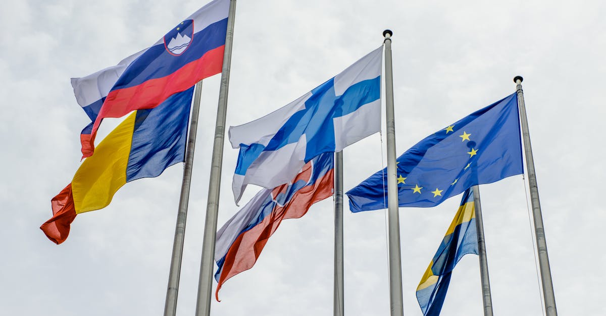 români UE referendum