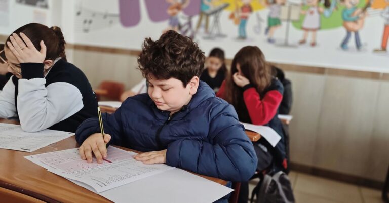 subiecte evaluare națională 2026