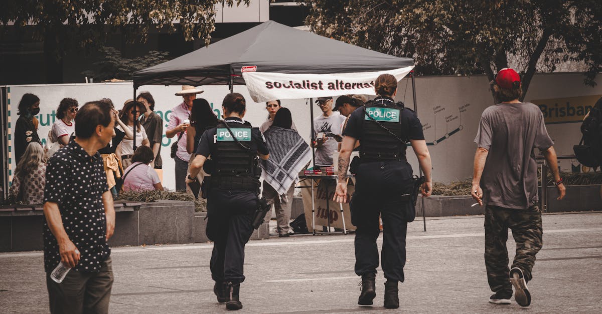 lider PSD furt mașini