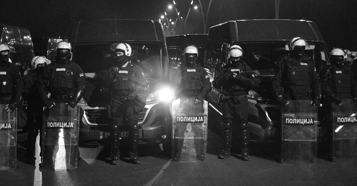 Poliția Locală Constanța intervenție